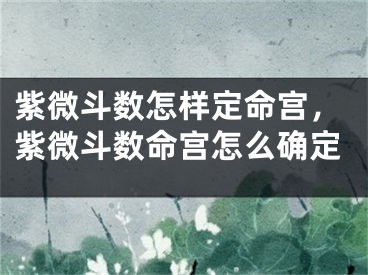 紫微斗数怎样定命宫,紫微斗数命宫怎么确定