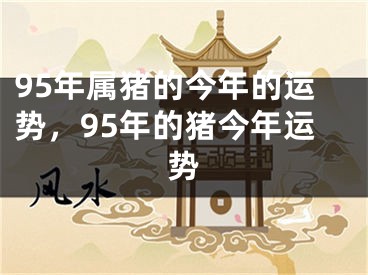 95年属猪的今年的运势,95年的猪今年运势