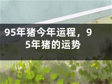 95年猪今年运程，95年猪的运势