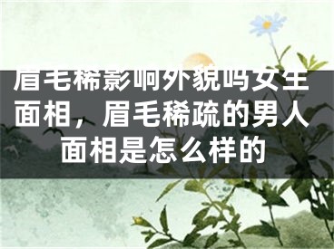 眉毛稀影响外貌吗女生面相,眉毛稀疏的男人面相是怎么样的