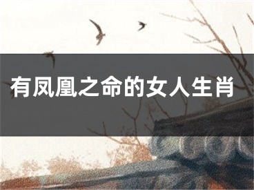有凤凰之命的女人生肖