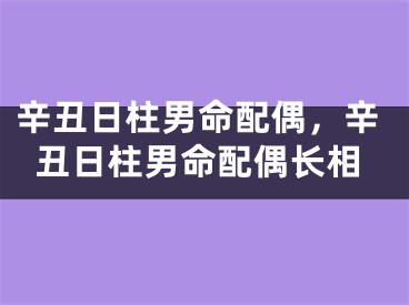 辛丑日柱男命配偶，辛丑日柱男命配偶长相