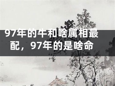 97年的牛和啥属相最配，97年的是啥命
