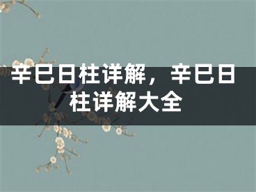辛巳日柱详解，辛巳日柱详解大全