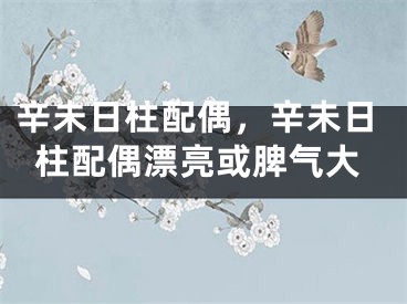 辛未日柱配偶,辛未日柱配偶漂亮或脾气大