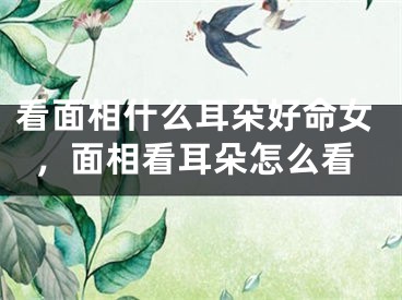 看面相什么耳朵好命女,面相看耳朵怎么看