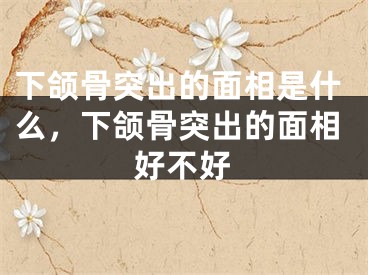 下颌骨突出的面相是什么,下颌骨突出的面相好不好
