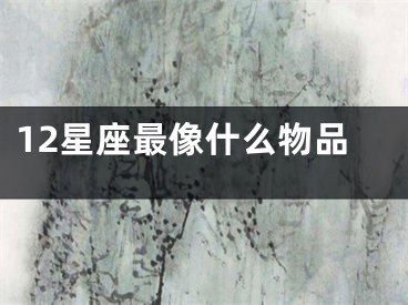 12星座最像什么物品