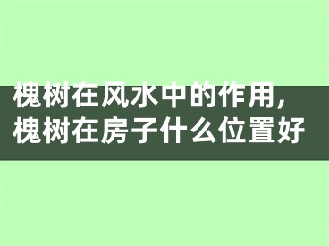 槐树在风水中的作用,槐树在房子什么位置好