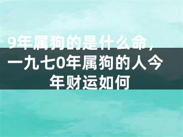 9年属狗的是什么命，一九七0年属狗的人今年财运如何