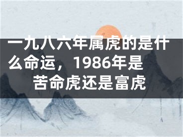 一九八六年属虎的是什么命运，1986年是苦命虎还是富虎