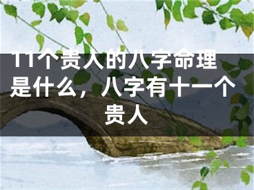 11个贵人的八字命理是什么，八字有十一个贵人