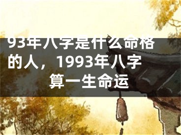 93年八字是什么命格的人，1993年八字算一生命运