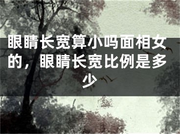 眼睛长宽算小吗面相女的,眼睛长宽比例是多少