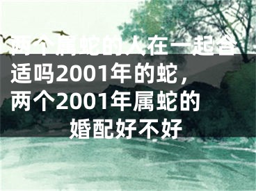 两个属蛇的人在一起合适吗2001年的蛇，两个2001年属蛇的婚配好不好