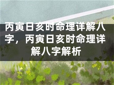 丙寅日亥时命理详解八字,丙寅日亥时命理详解八字解析