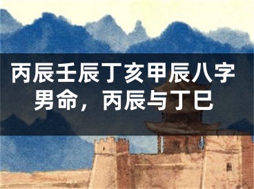 丙辰壬辰丁亥甲辰八字男命，丙辰与丁巳