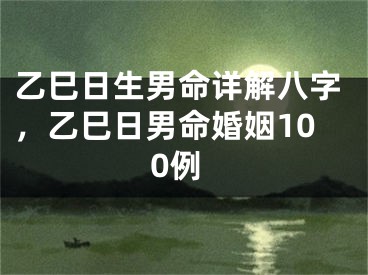 乙巳日生男命详解八字，乙巳日男命婚姻100例
