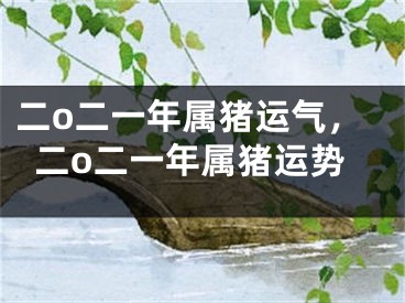 二o二一年属猪运气，二o二一年属猪运势