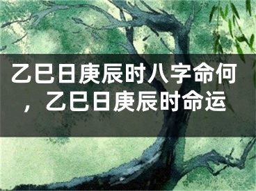 乙巳日庚辰时八字命何，乙巳日庚辰时命运