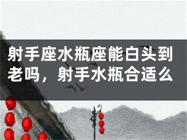 射手座水瓶座能白头到老吗，射手水瓶合适么
