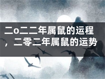 二o二二年属鼠的运程，二零二年属鼠的运势