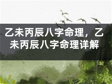 乙未丙辰八字命理，乙未丙辰八字命理详解