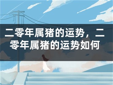 二零年属猪的运势，二零年属猪的运势如何