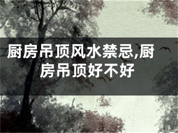 厨房吊顶风水禁忌,厨房吊顶好不好