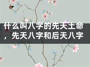 什么叫八字的先天土命,先天八字和后天八字