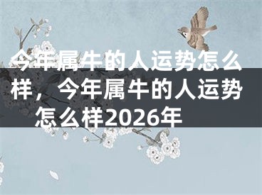 今年属牛的人运势怎么样，今年属牛的人运势怎么样2026年