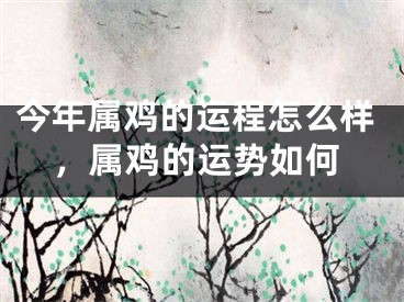 今年属鸡的运程怎么样,属鸡的运势如何