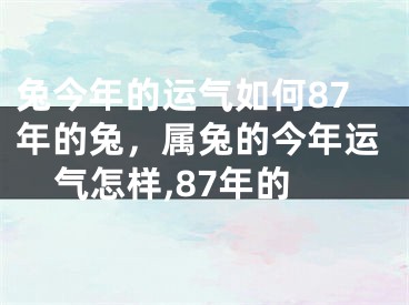 兔今年的运气如何87年的兔,属兔的今年运气怎样,87年的