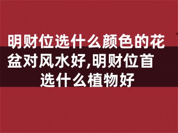 明财位选什么颜色的花盆对风水好,明财位首选什么植物好