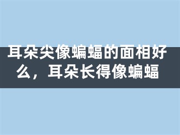 耳朵尖像蝙蝠的面相好么,耳朵长得像蝙蝠