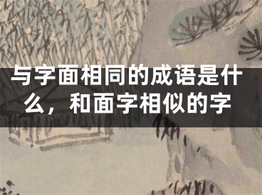 与字面相同的成语是什么,和面字相似的字