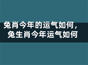 兔肖今年的运气如何，兔生肖今年运气如何
