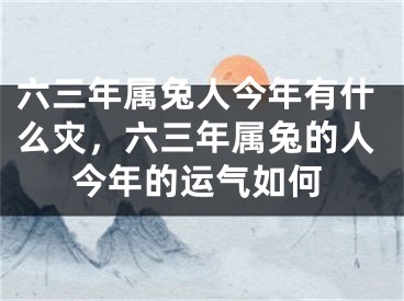 六三年属兔人今年有什么灾,六三年属兔的人今年的运气如何