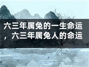 六三年属兔的一生命运，六三年属兔人的命运