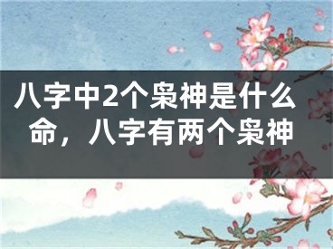 八字中2个枭神是什么命，八字有两个枭神