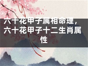 六十花甲子属相命理，六十花甲子十二生肖属性