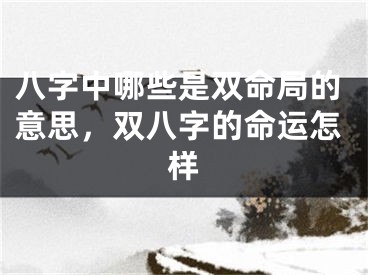 八字中哪些是双命局的意思，双八字的命运怎样