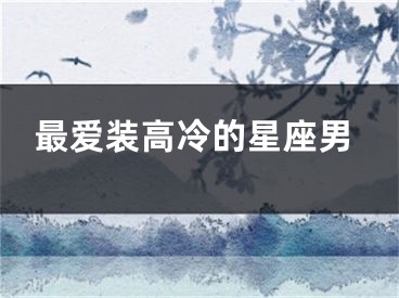 最爱装高冷的星座男