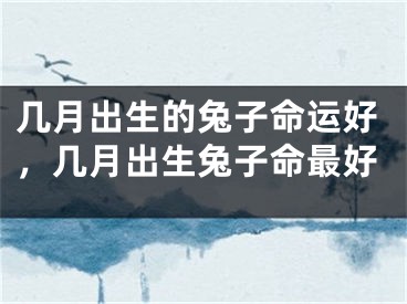 几月出生的兔子命运好，几月出生兔子命最好
