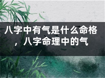 八字中有气是什么命格，八字命理中的气