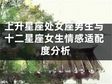 上升星座处女座男生与十二星座女生情感适配度分析