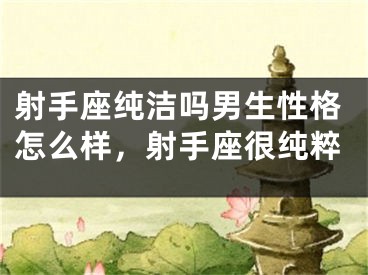 射手座纯洁吗男生性格怎么样，射手座很纯粹