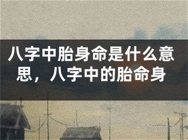 八字中胎身命是什么意思，八字中的胎命身