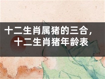 十二生肖属猪的三合，十二生肖猪年龄表