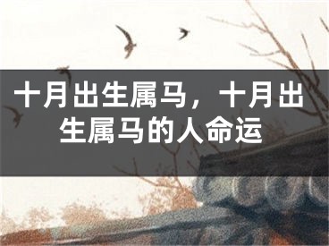 十月出生属马，十月出生属马的人命运